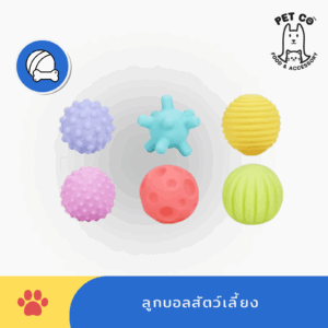 ลูกบอลกระตุ้นประสาทสัมผัส สำหรับสัตว์เลี้ยง
